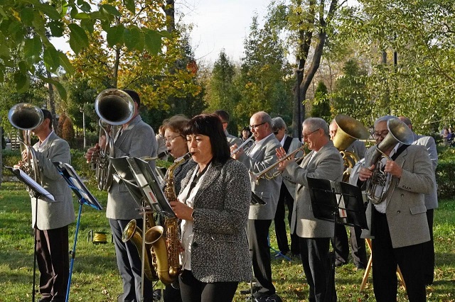 orkestr 6